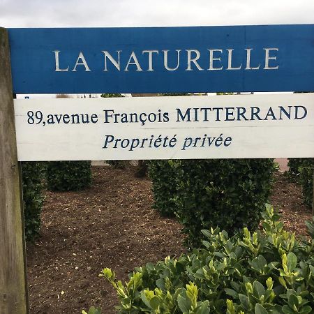 Vue Mer Sur La Cote D'Opale, Studio La Naturelle Pour 4 Personnes , วีเมอเรอ ภายนอก รูปภาพ